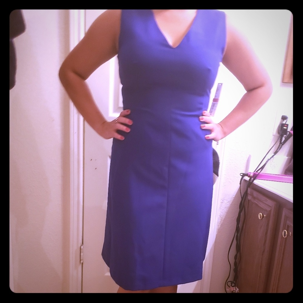 Brand New Antonio Melani Dress